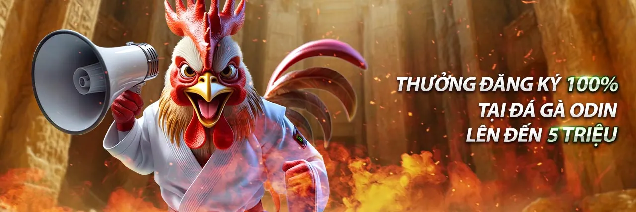 Đá gà trực tuyến tại 55vin cổng game chính thức